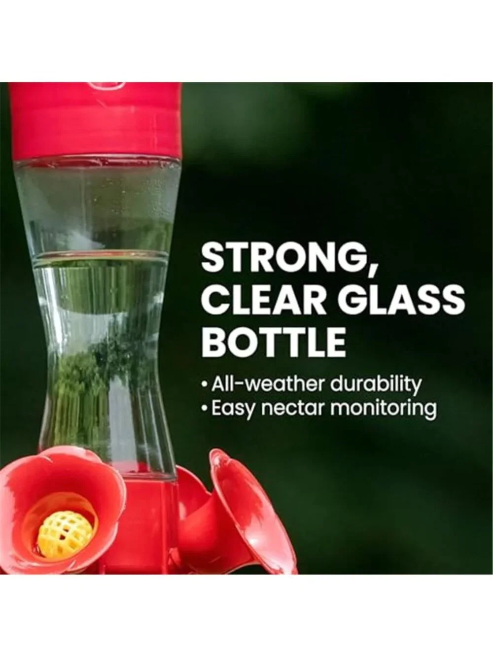 Glass Hummingbird Feeders for Outdoors with Ant Moat, Bee Guards, & Perches, 8oz